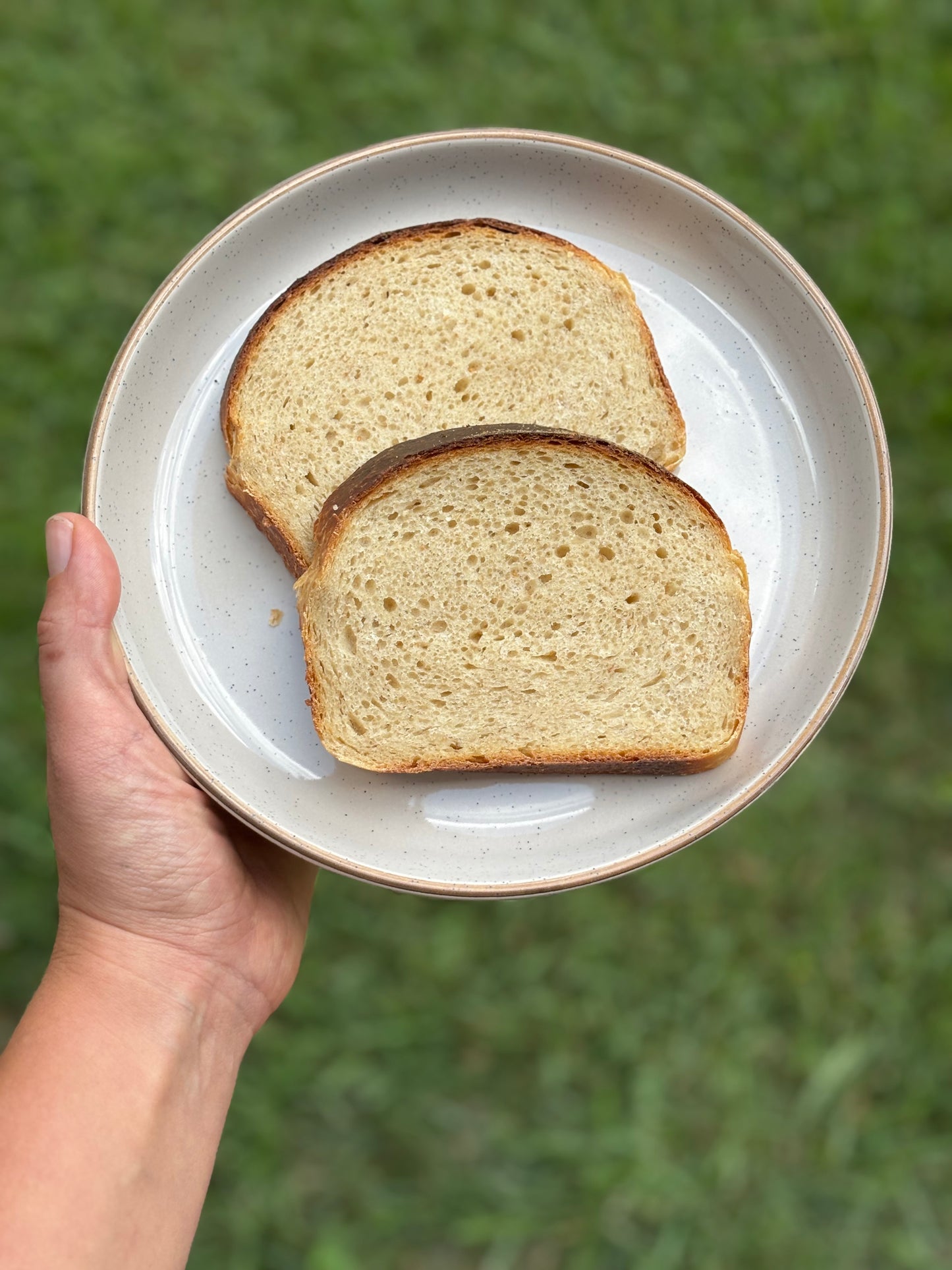 Sourdough Sandwich Loaf