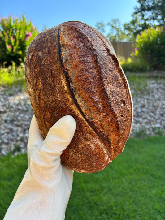 Sourdough Spelt Country Loaf